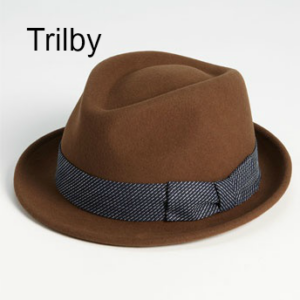 Hut-Trilby-der-richtige Hut-fuer-mich-diller-yourself