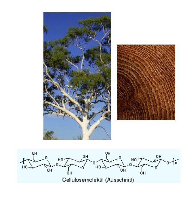 Viskose, Cellulose